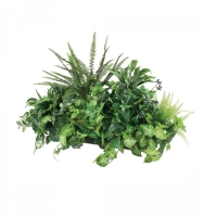 グリーンアレンジ-01