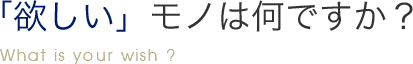 「欲しい」モノは何ですか？What is your wish ?