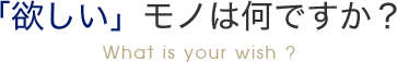 「欲しい」モノは何ですか？What is your wish ?