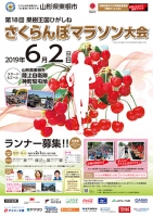 第18回果樹王国ひがしねさくらんぼマラソン大会(仙台)6月