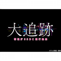 大追跡